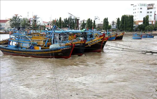 Đài PTTH Hà Nội